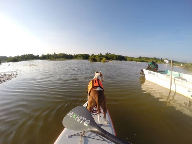  Fahrt in Yucatan 